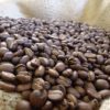 Café d'Équateur Palanda en grains – Image 2